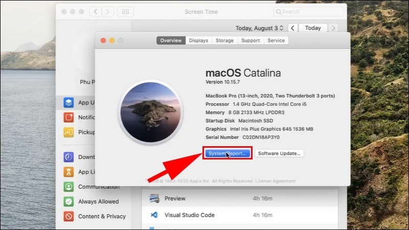 Nhấn vào nút System Report