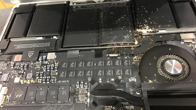 Mẹo xử lý kiến chui vào laptop tại nhà Mẹo xử lý kiến chui vào laptop tại nhà