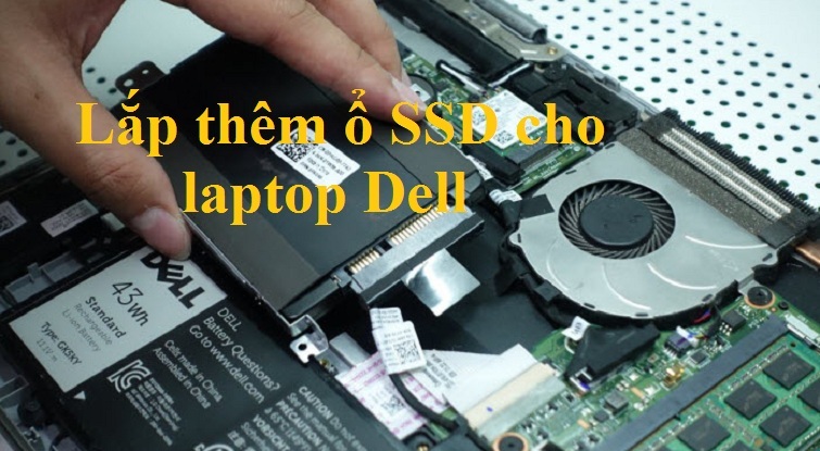 Hướng dẫn cách lắp thêm ổ SSD cho laptop Dell chuẩn nhất