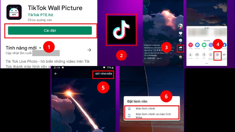 lay-video-tren-tiktok-lam-hinh-nen-dien-thoai-android