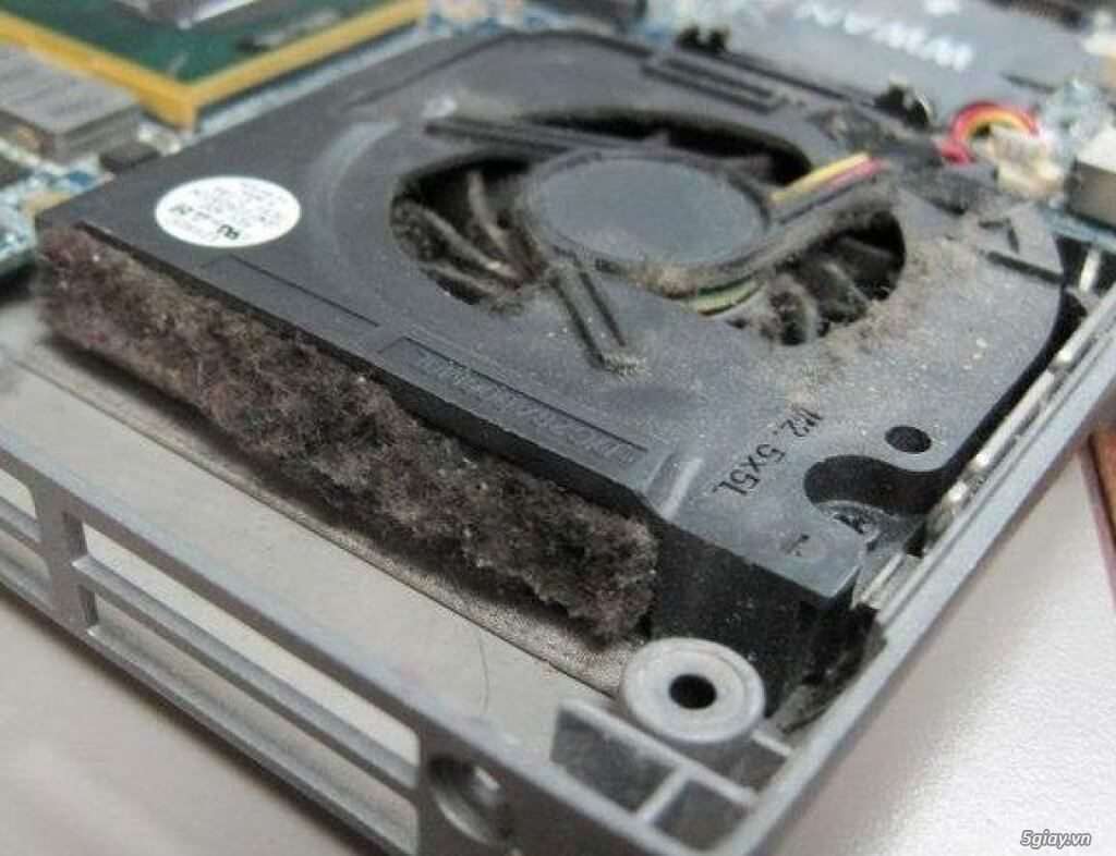 Bụi bẩn khiến laptop sập nguồn
