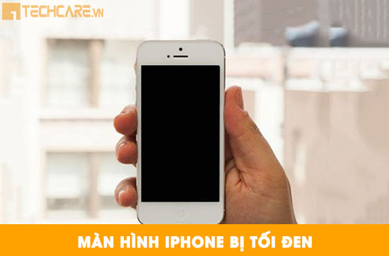 Thay màn hình Iphone bị tối đen