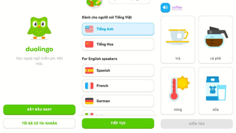 mo-duolingo