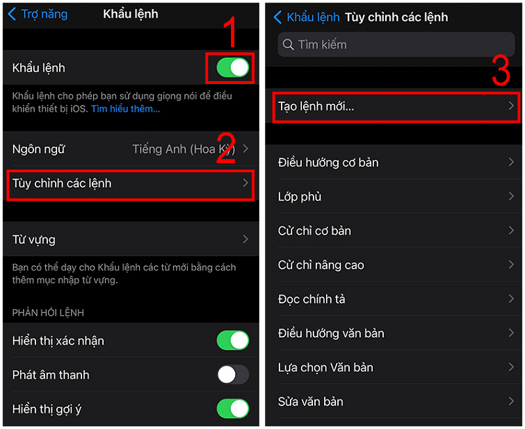 mo-khoa-iphone-bang-giong-noi