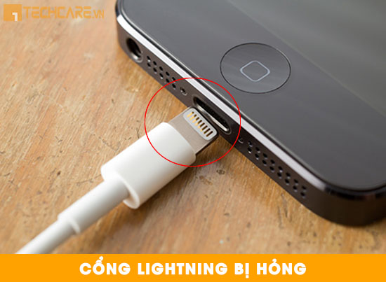 Nguyên nhân Iphone không nhận sạc