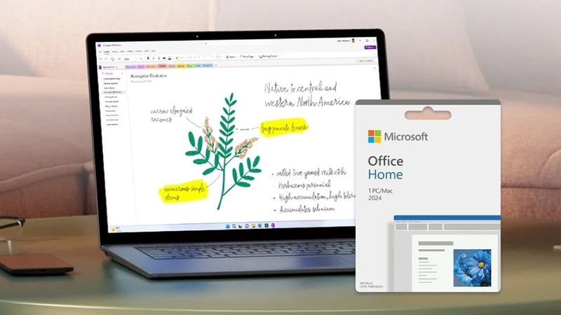 Office Home 2024 (EP2-06796) là gì? Tổng quan nhanh Office Home 2024 (EP2-06796) là gì? Tổng quan nhanh