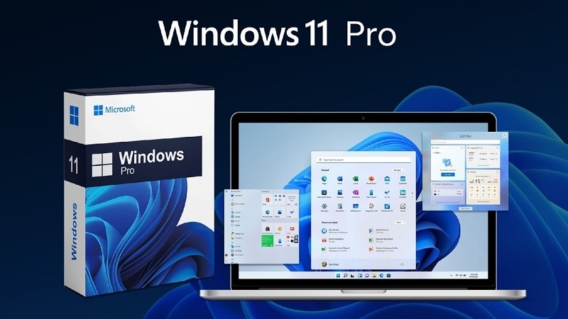 Windows 11 Pro FQC-10528 là gì? Tổng quan sản phẩm