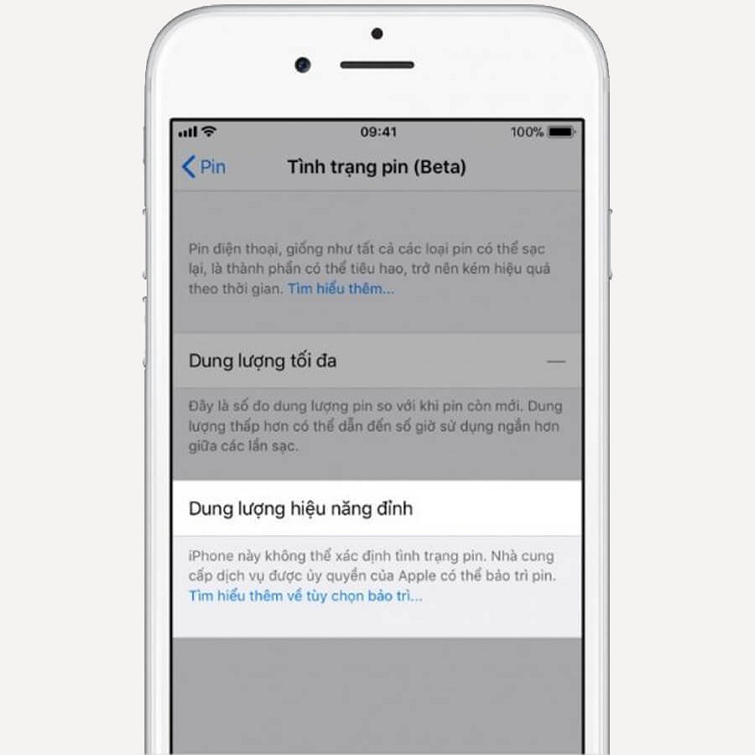 pin-iphone-bao-duy-tri