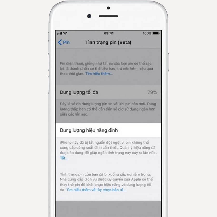 pin-iphone-bao-duy-tri