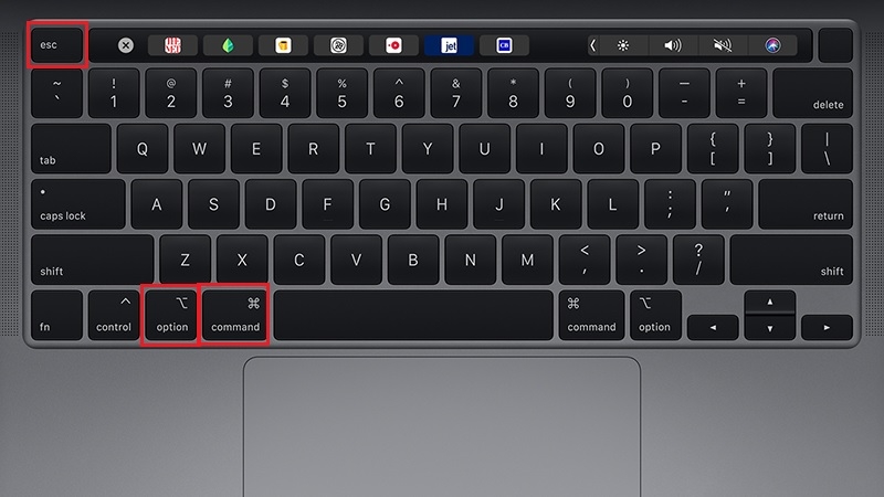 Bấm tổ hợp phím Command + Option + Esc để mở cửa sổ Force Quit