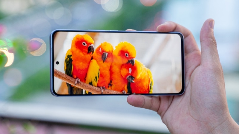 Khi nào cần thay màn hình Vivo V29E? - Nhận biết dấu hiệu sớm Khi nào cần thay màn hình Vivo V29E? - Nhận biết dấu hiệu sớm