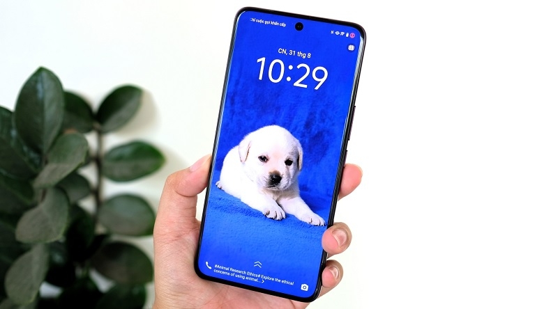 Dấu hiệu và nguyên nhân cần thay màn hình Vivo V60 Dấu hiệu và nguyên nhân cần thay màn hình Vivo V60