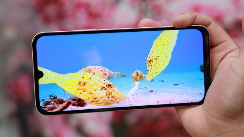 Khi nào cần thay màn hình Xiaomi Redmi 15C?