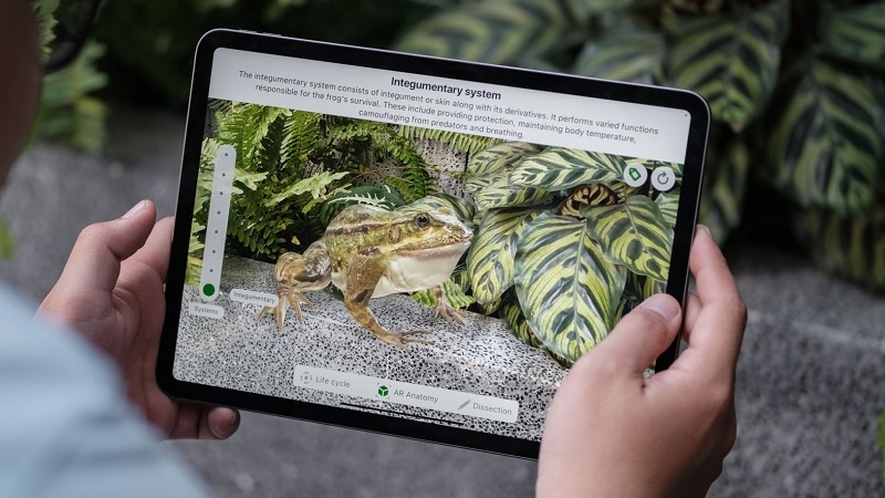 Khi nào bạn cần thay pin iPad Pro 12.9 inch 2020?