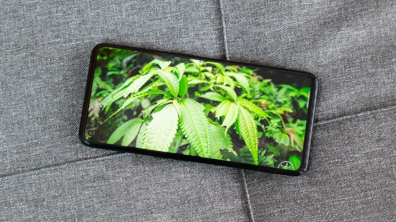 Dấu hiệu và nguyên nhân cần thay pin Realme Q5 Pro