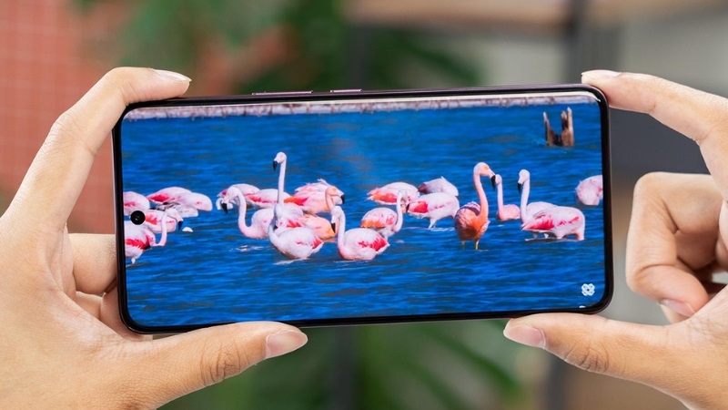 Khi nào cần thay pin Vivo V60? Khi nào cần thay pin Vivo V60?