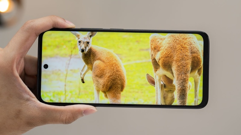 Khi nào bạn cần thay pin Xiaomi Poco M6? Khi nào bạn cần thay pin Xiaomi Poco M6?