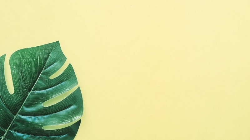 tong-hop-100-hinh-nen-chen-powerpoint-dep-vui-nhon-nhat-4