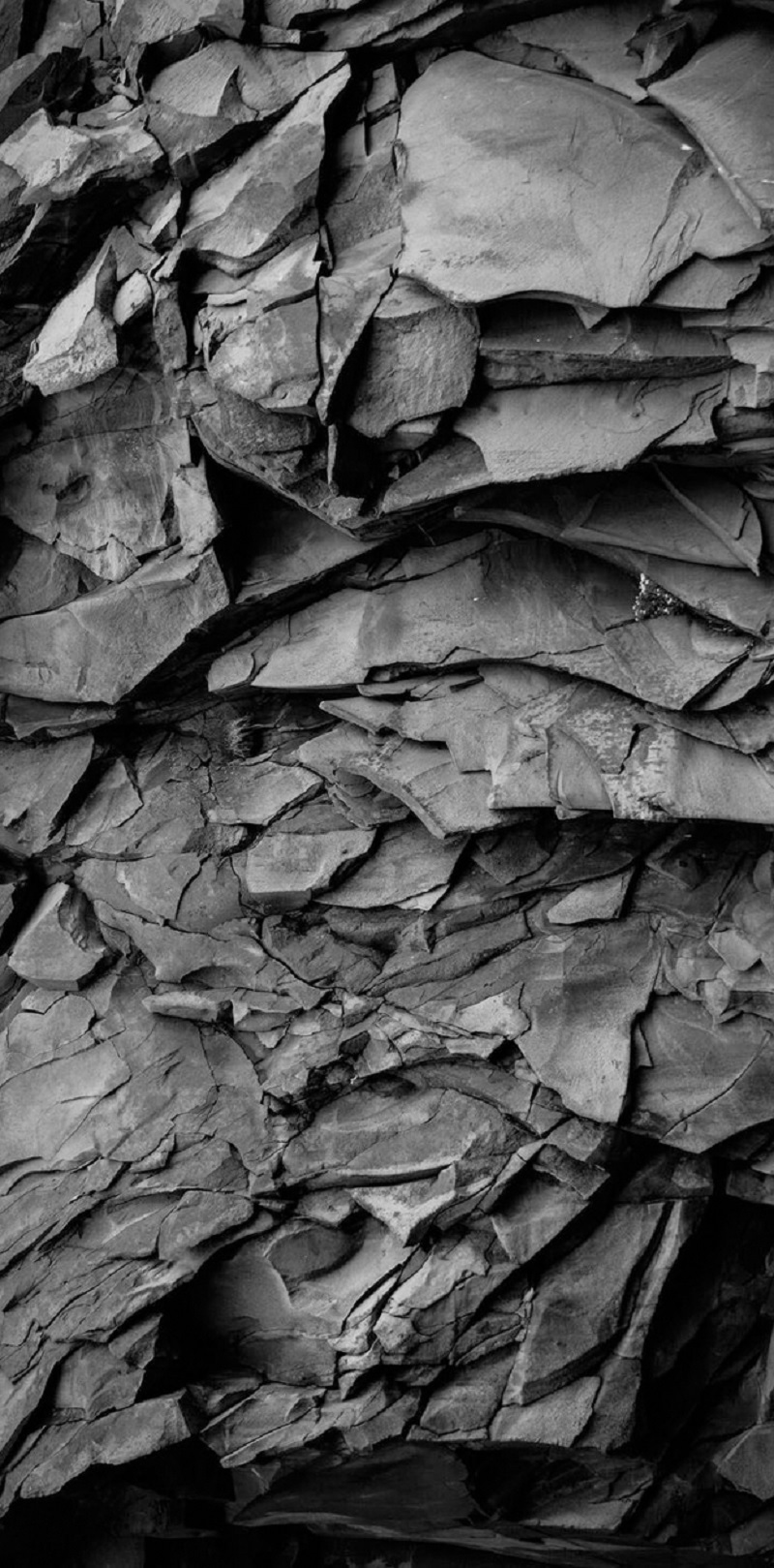 tong-hop-nhung-hinh-nen-iphone-14-pro-max-dep-nhat-9