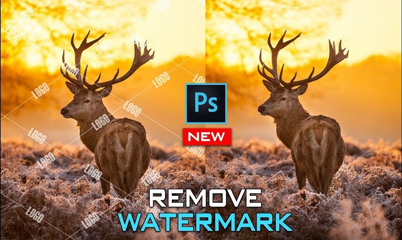 Watermark là gì? Cách xóa Watermark trong ảnh bằng Photoshop