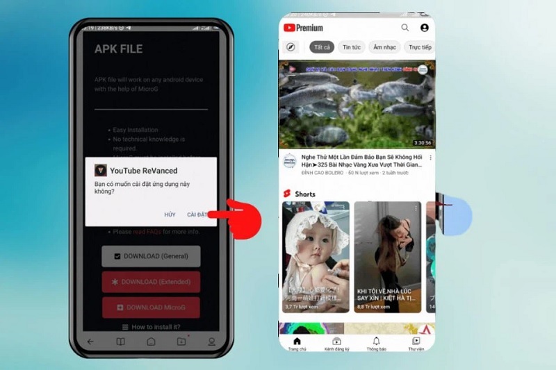 Nhấn nút Cài đặt