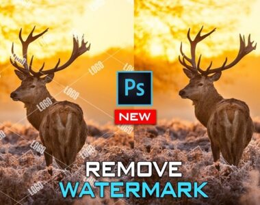 watermark-la-gi-cach-xoa-watermark-trong-anh-bang-photoshop